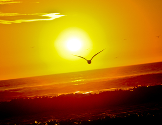 3093761253_6a79288ba7_o.jpg